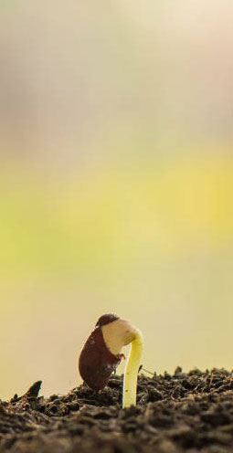 Notre mission - Pionnier