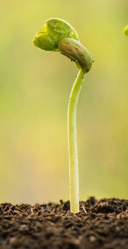 Notre mission - Succès commun
