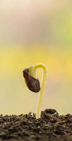 Notre mission - Utilisée partout